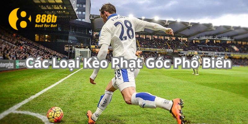 Kèo phạt góc 1x2